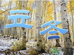 立冬可以栽樹嗎？立冬栽樹樹會(huì)死嗎？