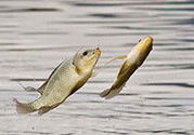十月份怎么釣魚(yú)？十月份釣魚(yú)好釣嗎？
