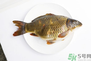鯉魚死了還能吃嗎?鯉魚死了多久不能吃? 鯉魚死了還能吃嗎?鯉魚死了多久不能吃?