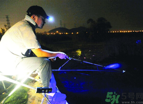 秋天可以夜釣嗎？秋天夜釣技巧