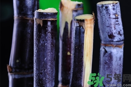 甘蔗一天吃多少最好？甘蔗能每天都吃嗎？