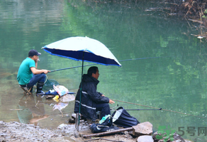 釣的魚怎么保存？釣的魚吃不完怎么保存？