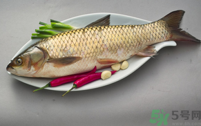 秋天怎么釣草魚？秋天草魚好釣嗎？