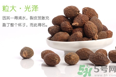 胖大海泡水后能吃嗎？胖大海的功效與作用