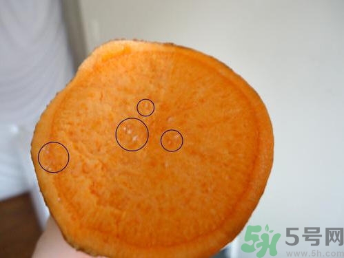 番薯發(fā)芽還能吃嗎？山芋發(fā)芽還能吃嗎？