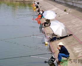 水庫(kù)釣魚(yú)用什么餌料？水庫(kù)釣魚(yú)用什么商品餌？
