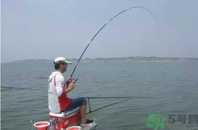 陰天好釣魚嗎？陰天釣魚好釣嗎？
