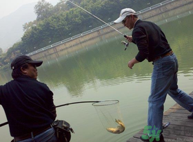 秋季釣黑魚用什么魚餌？秋天釣黑魚用什么餌？