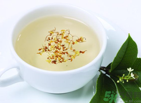 新鮮桂花能泡茶嗎？新鮮桂花怎么處理泡茶？