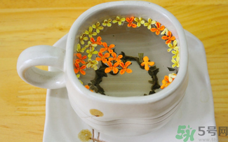 剛摘的桂花可以泡茶嗎？剛摘的桂花能泡茶嗎？