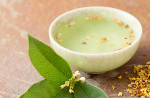 剛摘的桂花可以泡酒嗎？新鮮桂花可以泡酒嗎？