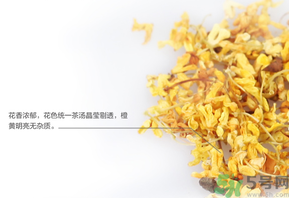 新鮮桂花可以泡水喝嗎？新鮮桂花泡水喝有什么好處？