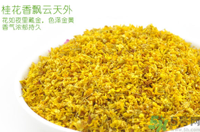 剛摘的桂花有蟲(chóng)怎么辦？干桂花長(zhǎng)蟲(chóng)怎么辦？