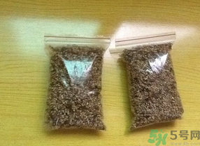 桂花怎么曬干？桂花曬好后可以做什么？