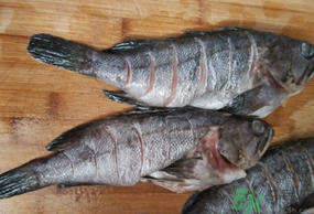 黑魚怎么洗掉身上的粘液？黑魚怎么洗才干凈？