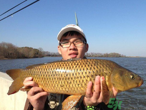 夜釣鯉魚用什么餌料？秋天夜釣鯉魚用什么餌料？