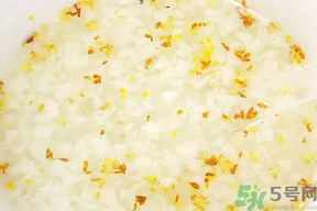 新鮮桂花可以煮粥嗎？桂花可以煮粥嗎？