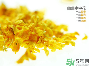 桂花可以泡水喝嗎？桂花怎么泡水？
