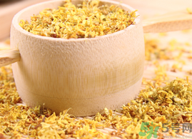 新鮮桂花能泡茶嗎？新鮮怎么處理泡茶？
