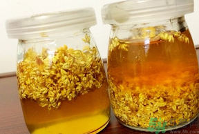 干桂花可以做桂花蜜嗎？干桂花怎么做桂花蜜？