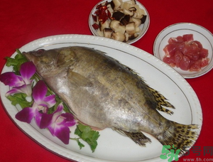 桂魚怎么保存？桂魚放冰箱怎么保存？