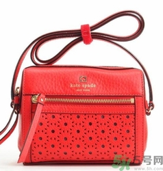 kate spade和coach哪個(gè)好？凱特絲蓓好還是蔻馳好？