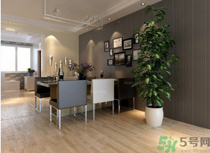 桂花樹(shù)可以種在室內(nèi)嗎？桂花樹(shù)適合在室內(nèi)嗎？
