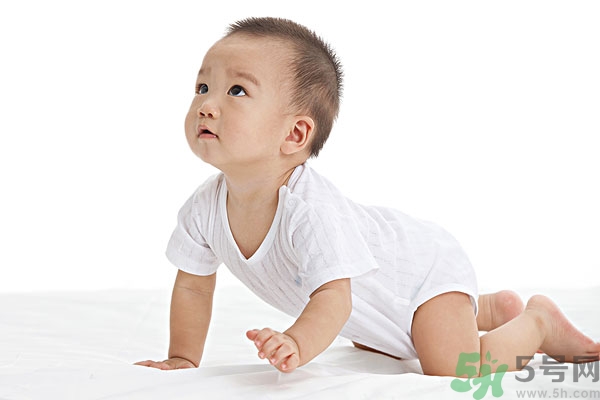 吃南瓜子可以打蟲(chóng)嗎,南瓜子能打蛔蟲(chóng)嗎？