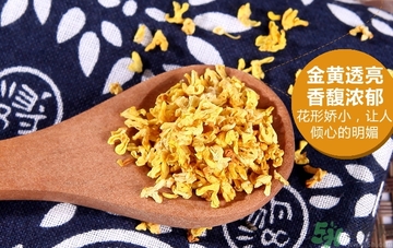 喝桂花茶會(huì)上火嗎？喝桂花茶上火怎么辦？