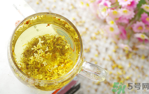 月經(jīng)期能喝桂花茶嗎？經(jīng)期能喝桂花茶嗎？