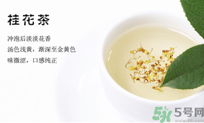 月經(jīng)期能喝桂花茶嗎？經(jīng)期能喝桂花茶嗎？