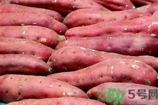 經(jīng)常吃紅薯好嗎？吃紅薯對(duì)身體有什么好處和壞處？