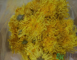 新鮮菊花怎么曬干?新鮮菊花怎么處理? 新鮮菊花怎么曬干?新鮮菊花怎么處理?