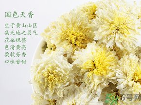 菊花茶可以放冰箱嗎？菊花茶能放冰箱冷凍嗎？