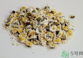 干菊花長(zhǎng)蟲怎么辦？干菊花長(zhǎng)蟲還能喝嗎？