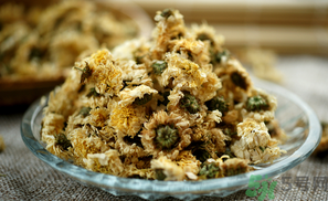 干菊花長(zhǎng)蟲怎么辦？干菊花長(zhǎng)蟲還能喝嗎？