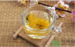 菊花茶可以天天喝嗎？菊花茶喝多了會(huì)怎么樣？