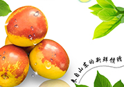 冬棗洗了可以放冰箱嗎？冬棗放冰箱好還是不放冰箱好？