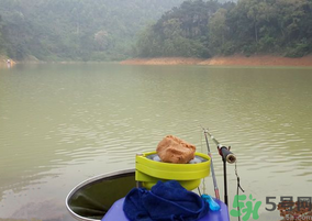 秋天釣魚用什么打窩?秋天釣鯉魚用什么打窩? 秋天釣魚用什么打窩?秋天釣鯉魚用什么打窩?