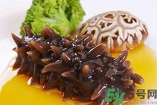 吃海參會(huì)上火嗎？經(jīng)常吃海參會(huì)上火嗎？