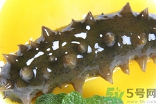 新鮮海參怎么吃最有營養(yǎng)？新鮮海參生吃最有營養(yǎng)嗎？
