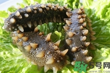 海參的簡(jiǎn)單家常做法有哪些？海參的不同吃法