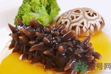 海參的簡(jiǎn)單家常做法有哪些？海參的不同吃法