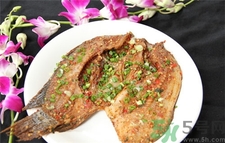 非洲鯽魚的營(yíng)養(yǎng)價(jià)值 非洲鯽魚的功效與作用