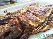 非洲鯽魚的營(yíng)養(yǎng)價(jià)值 非洲鯽魚的功效與作用