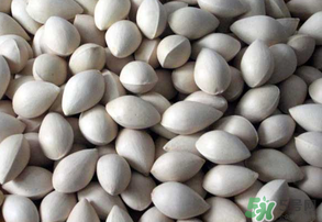 吃白果有什么好處和壞處？吃白果有什么作用？