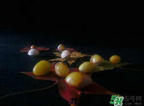白果可以放微波爐嗎？白果放微波爐轉(zhuǎn)幾分鐘？