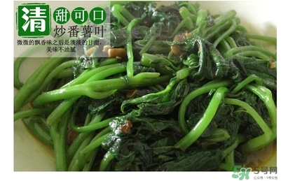 紅薯葉哺乳期可以吃嗎？紅薯葉產(chǎn)婦可以吃嗎？
