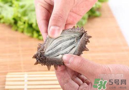 海參肚子里的筋能吃嗎？海參肚子里的筋吃了有什么作用？