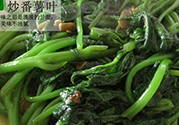 紅薯葉不能和什么一起吃？紅薯葉什么不能吃？